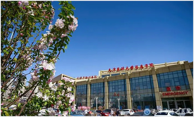 抖圈(中国区)人生就是搏!